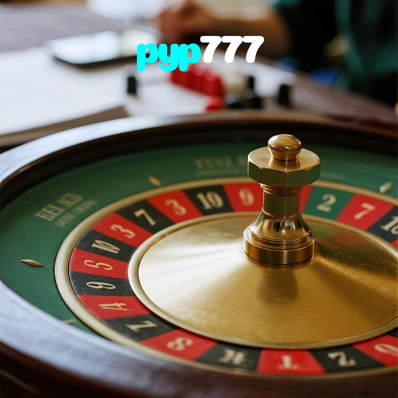 pyp777 visual